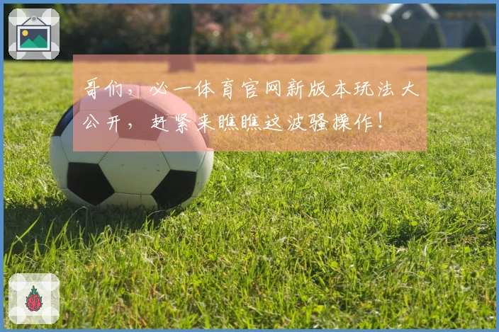 哥们，必一体育官网新版本玩法大公开，赶紧来瞧瞧这波骚操作！