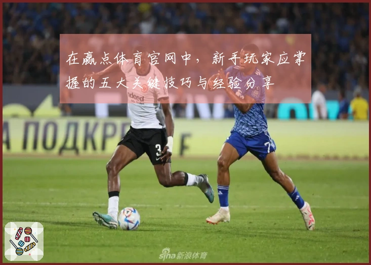 在赢点体育官网中，新手玩家应掌握的五大关键技巧与经验分享