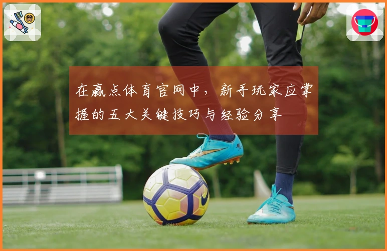 在赢点体育官网中，新手玩家应掌握的五大关键技巧与经验分享