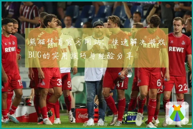 熊猫体育官方网站：快速解决游戏BUG的实用技巧与经验分享
